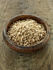 Grains d'épeautre