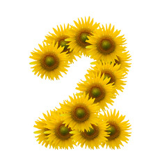 2,Sun flower alphabet isolated on white