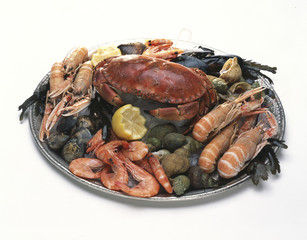Plateau de fruits de mer