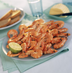 Assiette de crevettes roses