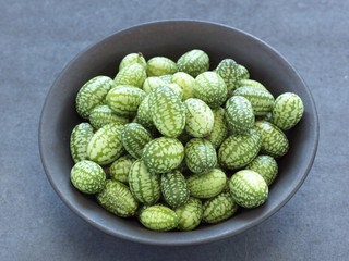 Minis concombres Melothria scabra