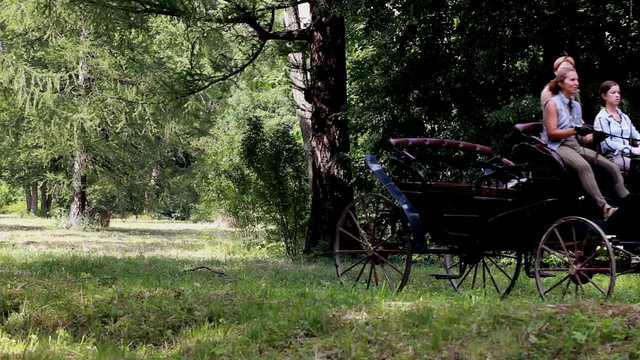 Coachman horse-drawn carriage.
