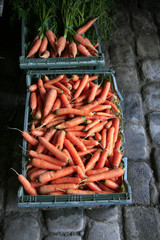 Caisses de carottes