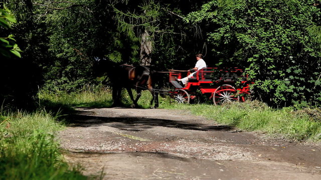 red charabanc on a forest road