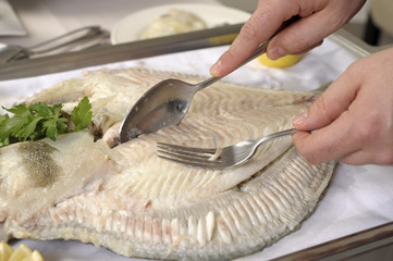 Lever des filets de turbot poché