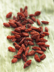Baies de Goji