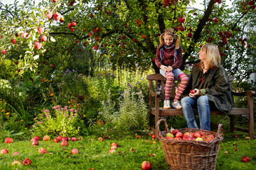 mother with her daughter beneath the apple tree