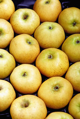 Cageot de pommes