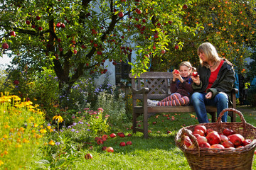 mother with her daughter beneath the apple tree