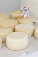 Affinage de fromages pecorino