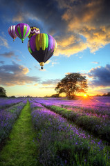 Hot air balloons flying over lavender landscape sunset