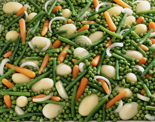 Jardinière de légumes