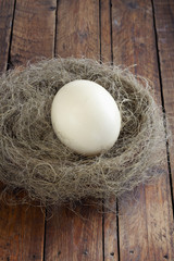 Oeuf d'autruche dans un nid