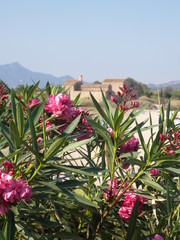 Kirche Sant’ Efisio auf Sardinien