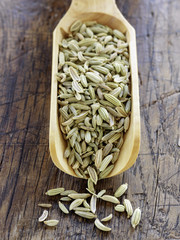 Pelle de graines de fenouil