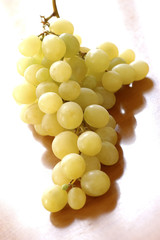 Grappe de raisins blancs