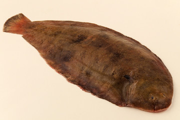 poisson sole