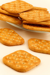 biscuits salés  tuc