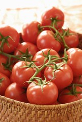 Tomates grappe dans panier