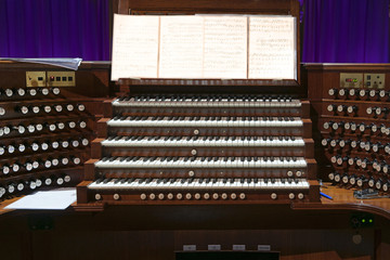 Wooden organ