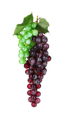 ripe green and red grapes isolated on white