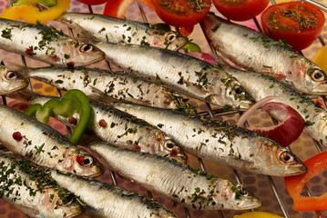 Poisson sardines