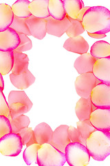 Fototapeta premium Pink rose petals isolated on white