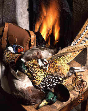 gibier &agrave; plumes