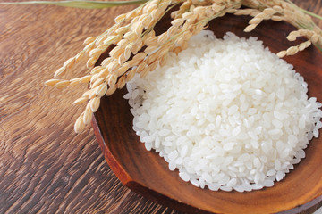 新米あきたこまち