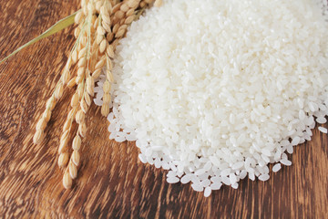 新米あきたこまち