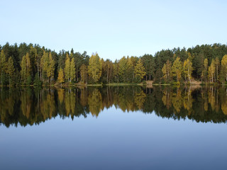 Fototapeta na wymiar Głęboki las, jezioro