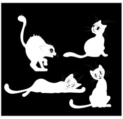 белые кошечки