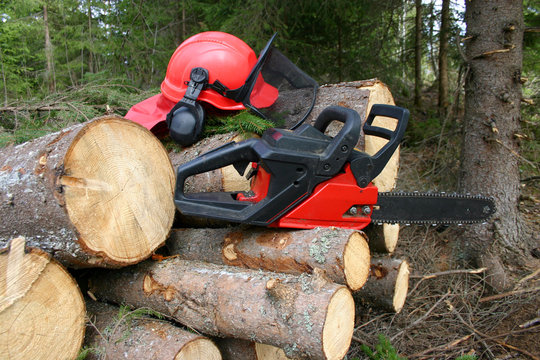 Logger equipment with cut trees
