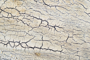 white varnish on wooden surface has cracked