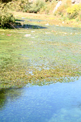 image of the natural spring water flowing