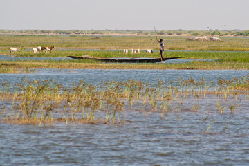 Fishermen in a pirogue in the Niger river.