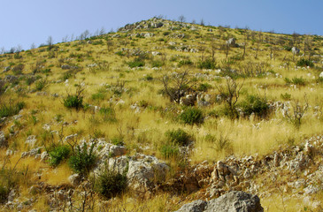 Fototapeta na wymiar zbocze góry po pożarze, wyspa Zakynthos