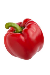 single bell-pepper