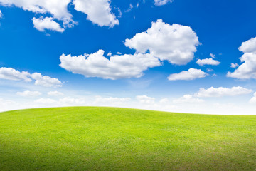 meadow against blue sky