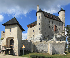 Fototapeta na wymiar Castle in Poland