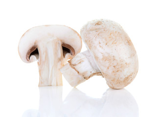 champignon mushroom