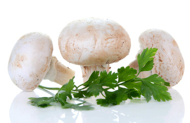 champignon mushroom and parsley