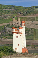 Fototapeta na wymiar Historyczne Wieża Mysz, Bingen / Rhein
