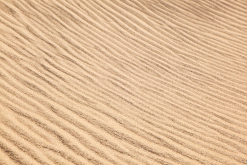 Fototapeta na wymiar wiatr tworzy struktury na wydmach na plaży
