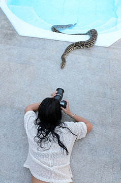 Pythonfotografin