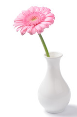 Vase with pink chrysanthemum