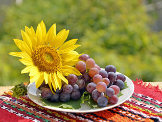 Still, grapes and sunflower