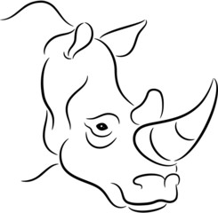 Rhinoceros