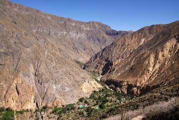 Colca