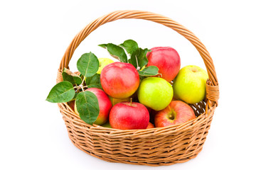 Apples in basket